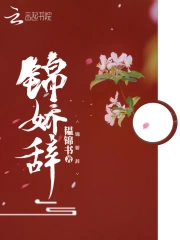 锦娇辞