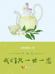 不再见，我们只一世一恋