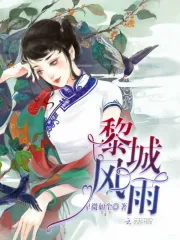 梨城风雨