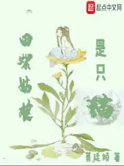 田螺姑娘是只猫