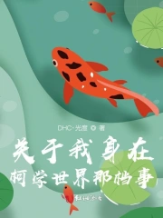 关于我身在柯学世界那档事