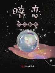 暗恋成立指南
