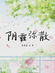 阴霾弥散