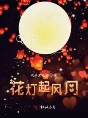 花灯起风月