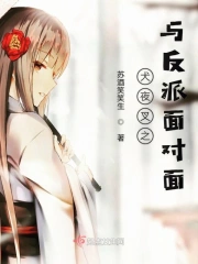 犬夜叉之与反派面对面