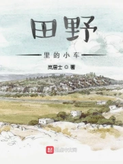 田野里的小车