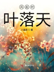 风起时叶落天