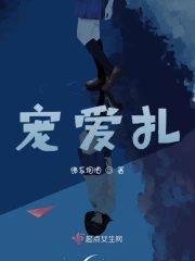 宠爱扎