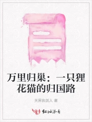 万里归巢：一只狸花猫的归国路