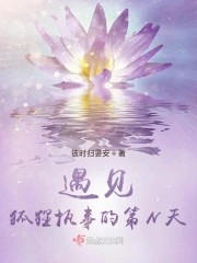 遇见狐狸执事的第N天