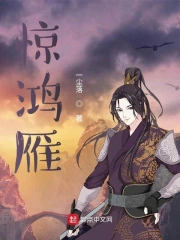 惊鸿雁