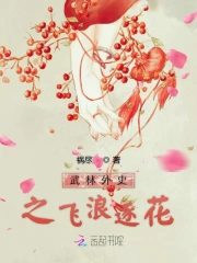 武林外史之飞浪逐花