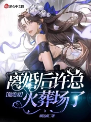 离婚后许总他追妻火葬场了