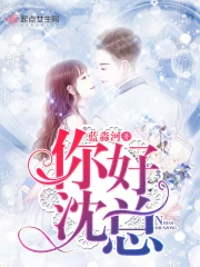 你好沈总