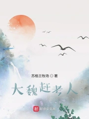 大魏赶考人