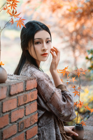 曾经武林外传的故事