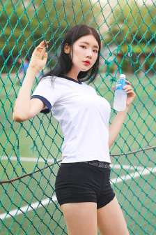 岚之挽