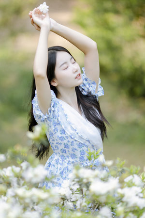 荒斋旧草