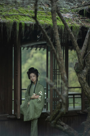 狸猫假装换太女